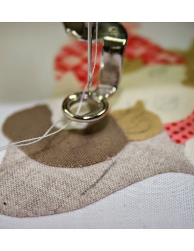 Piedino Rammendo Ricamo e Quilting 